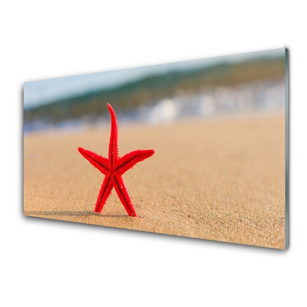 Obraz na akrylátovom skle Pláž hviezdice umenie
