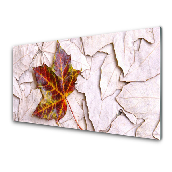 Obraz na akrylátovom skle Listy rastlina