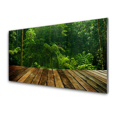 Obraz na akrylátovom skle Les príroda