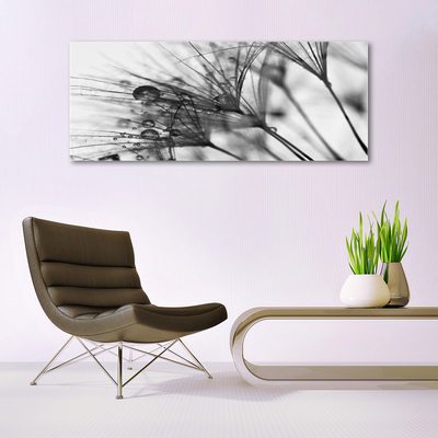 Obraz na akrylátovom skle Abstrakcie rastlina
