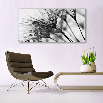 Obraz na akrylátovom skle Abstrakcie rastlina