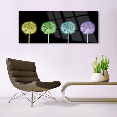 Obraz na akrylátovom skle Púpava rastlina