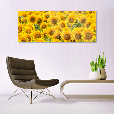 Obraz na akrylátovom skle Slunecznice rastlina