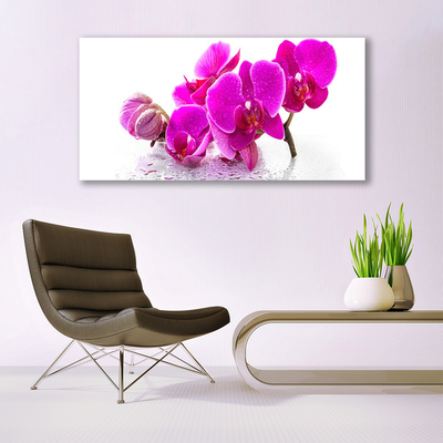 Obraz na akrylátovom skle Kvety rastlina