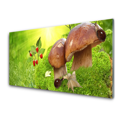 Obraz na akrylátovom skle Huby divoké jahody