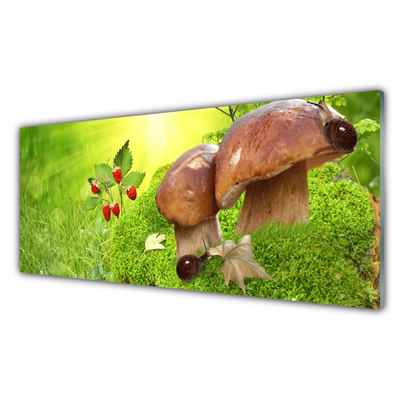 Obraz na akrylátovom skle Huby divoké jahody