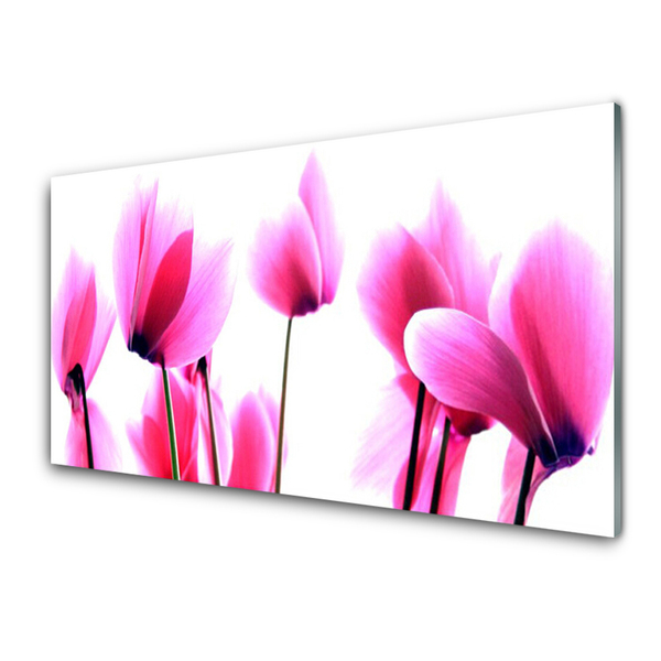 Obraz na akrylátovom skle Kvetiny rastlina