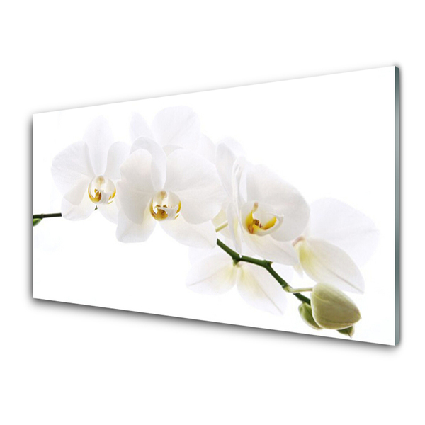 Obraz na akrylátovom skle Kvetiny rastlina
