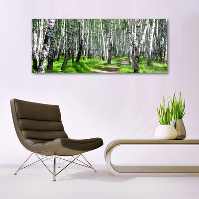 Obraz na akrylátovom skle Stromy tráva príroda
