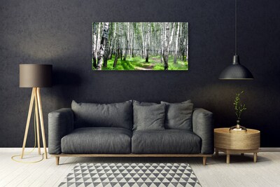 Obraz na akrylátovom skle Stromy tráva príroda