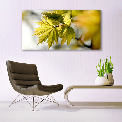 Obraz na akrylátovom skle Listy rastlina
