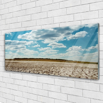 Obraz na akrylátovom skle Púšť krajina