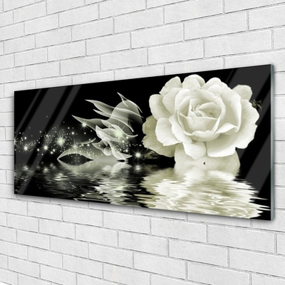 Obraz na akrylátovom skle Ruže kvet