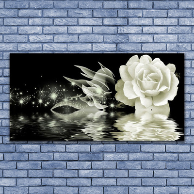 Obraz na akrylátovom skle Ruže kvet