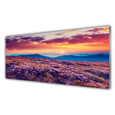 Obraz na akrylátovom skle Lúka hory kvety príroda