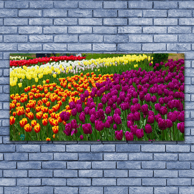 Obraz na akrylátovom skle Tulipány kvety