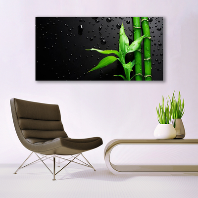 Obraz na akrylátovom skle Bambus listy rastlina