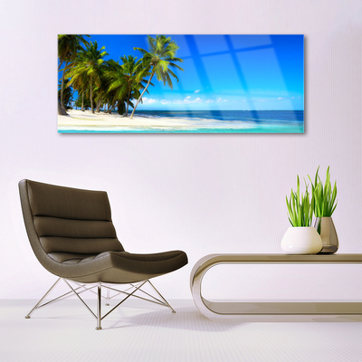 Obraz na akrylátovom skle Palma strom more krajina