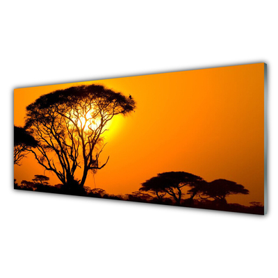 Obraz na akrylátovom skle Strom slnko príroda