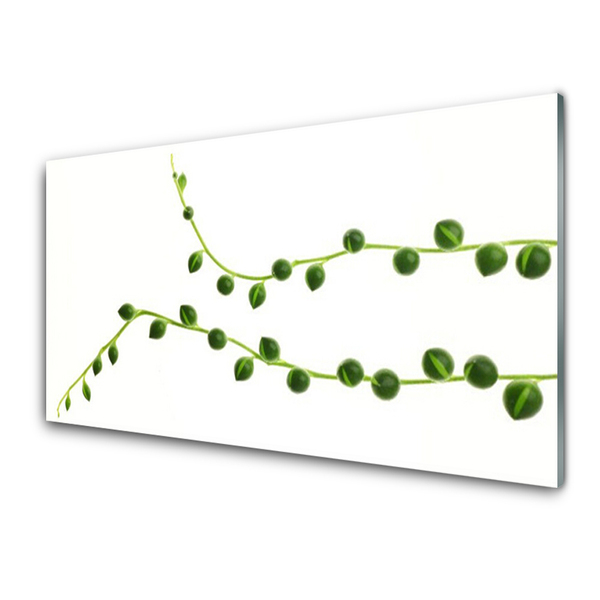 Obraz na akrylátovom skle Dekoratívne rastlina