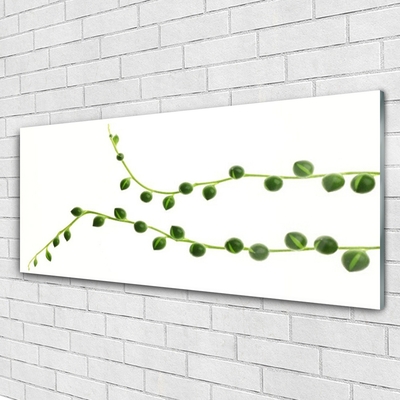 Obraz na akrylátovom skle Dekoratívne rastlina