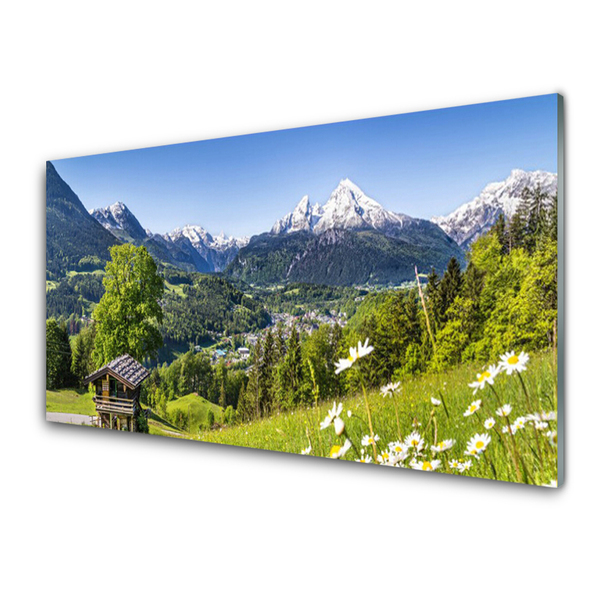 Obraz na akrylátovom skle Hora pole príroda