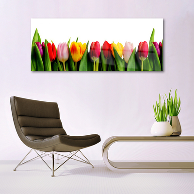 Obraz na akrylátovom skle Tulipány rastlina