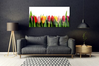 Obraz na akrylátovom skle Tulipány rastlina