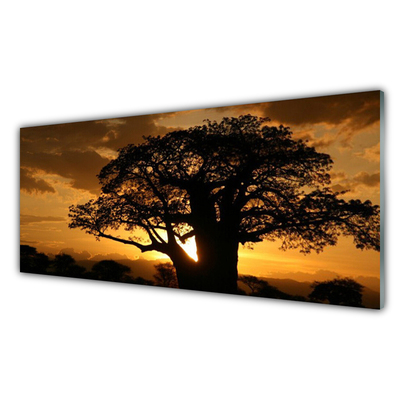 Obraz na akrylátovom skle Strom príroda