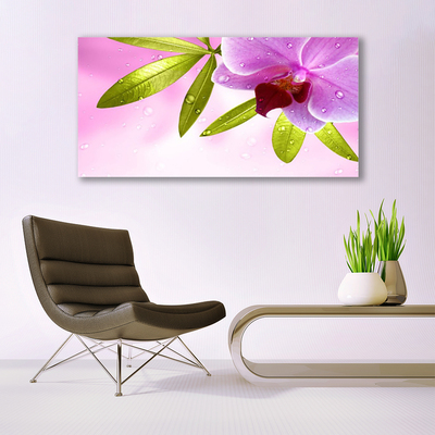 Obraz na akrylátovom skle Kvet listy rastlina