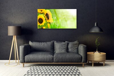 Obraz na akrylátovom skle Slnečnicami rastlina