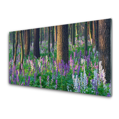 Obraz na akrylátovom skle Les kvety príroda