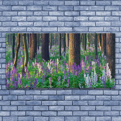 Obraz na akrylátovom skle Les kvety príroda