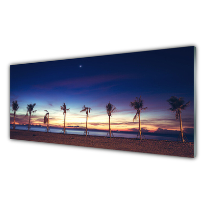 Obraz na akrylátovom skle Palma strom more krajina