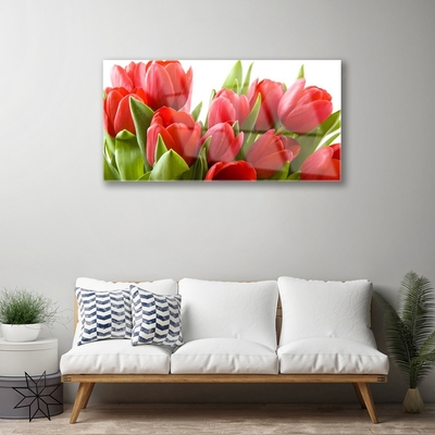 Obraz na akrylátovom skle Tulipány kvety rastlina