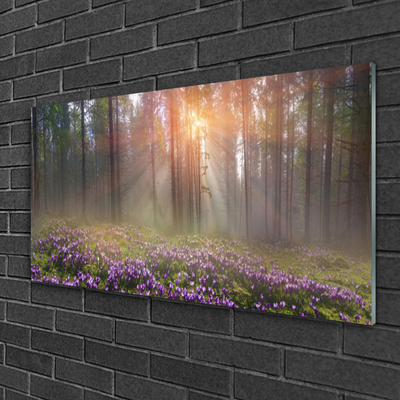 Obraz na akrylátovom skle Les kvety rastlina príroda