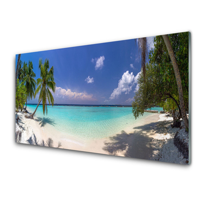 Obraz na akrylátovom skle More pláž palma krajina