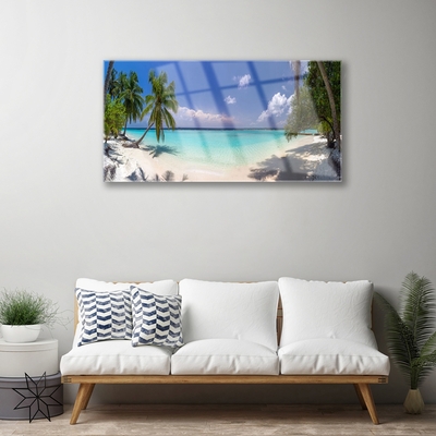 Obraz na akrylátovom skle More pláž palma krajina