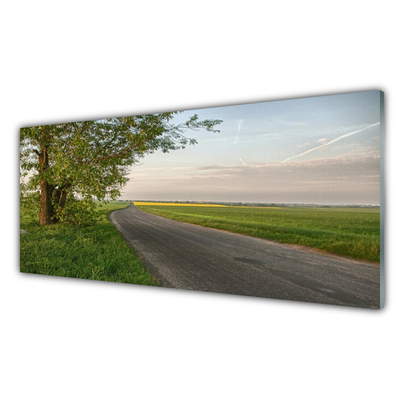 Obraz na akrylátovom skle Scestie strom tráva krajina