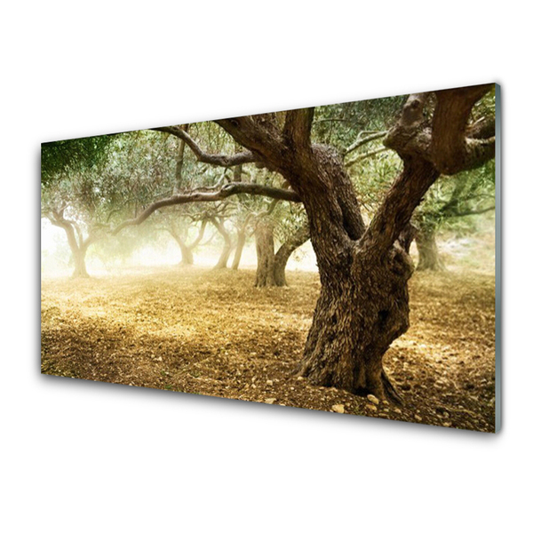 Obraz na akrylátovom skle Strom tráva príroda