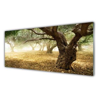 Obraz na akrylátovom skle Strom tráva príroda