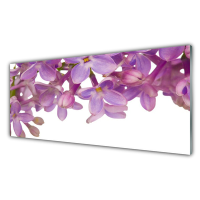 Obraz na akrylátovom skle Kvety rastlina