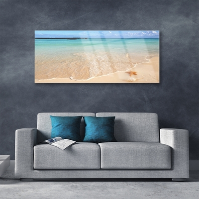 Obraz na akrylátovom skle Pláž hviezdice príroda