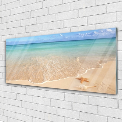 Obraz na akrylátovom skle Pláž hviezdice príroda