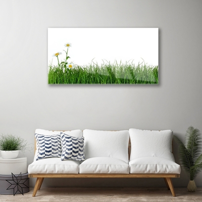 Obraz na akrylátovom skle Burina príroda rastlina