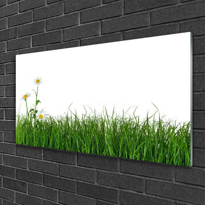 Obraz na akrylátovom skle Burina príroda rastlina