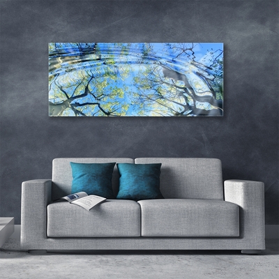 Obraz na akrylátovom skle Voda stromy umenie