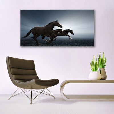 Obraz na akrylátovom skle Kone zvieratá