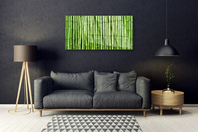 Obraz na akrylátovom skle Bambus kvet rastlina
