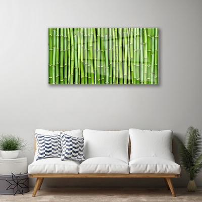 Obraz na akrylátovom skle Bambus kvet rastlina